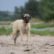 1399983822_IMG_2183