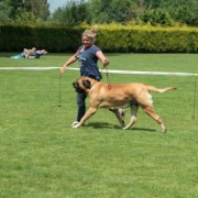 1402389166_Juultje_kampioentje