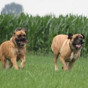 1405442774_IMG_5559