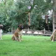 1405442775_website_IMG_5231