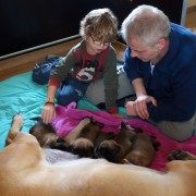 Tim Mark en de pups