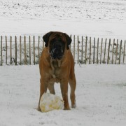 spelen sneeuw dirk