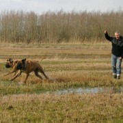 1330951481_IMG_0140