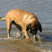 1330954658_IMG_0636