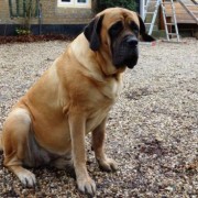 1355590072_Juul_42_dagen_kl