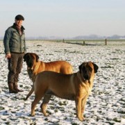 1355590072_spelen_35_dagen2_kl