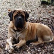 1355590073_Dirk,_dan_maar_een_botje_kl