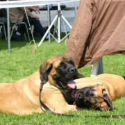 1371532987_IMG_6517