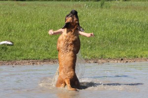 IMG_9353