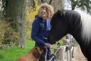 Heerlijk dagje - Hillse Mastiffs
