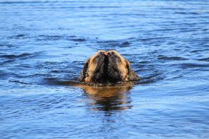 IMG_1276