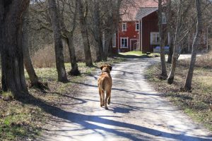 IMG_1283