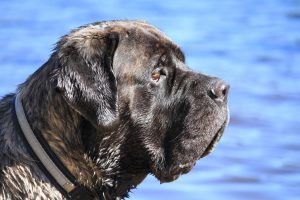 IMG_1317