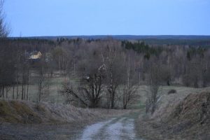 IMG_1338