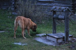 IMG_1347