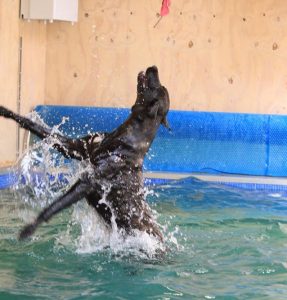 Prima ballerina Freddy bij H2Ond