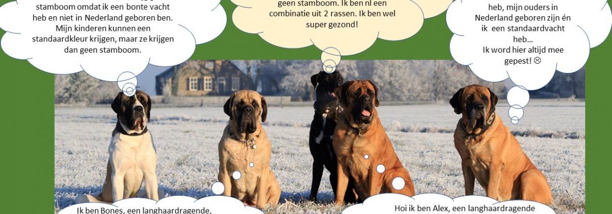 Juultje ons buitenbeentje