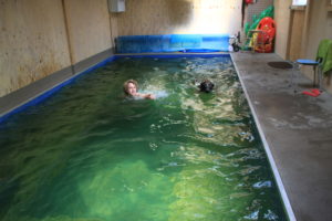 het mannenteam Chris & Freddy - Hillse Mastiffs