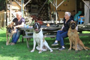 Genieten met oma - Hillse Mastiffs