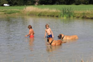 Kids en de red pack - Hillse Mastiffs