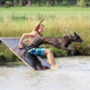 Vliegen Freddy - Hillse Mastiffs