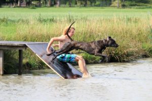 Vliegen Freddy - Hillse Mastiffs