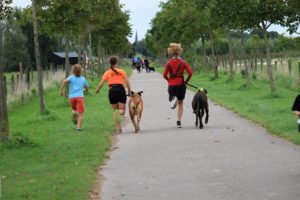 Dogsurvival Barendrecht 2017 - Hillse Mastiffs