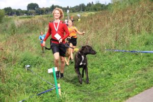Dogsurvival Barendrecht 2017 - Hillse Mastiffs