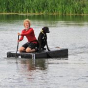 Dogsurvival Barendrecht 2017 - Hillse Mastiffs