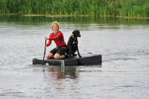 Dogsurvival Barendrecht 2017 - Hillse Mastiffs