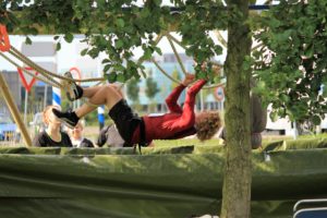Dogsurvival Barendrecht 2017 - Hillse Mastiffs