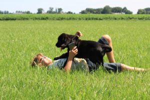 Mastiff - Juliette Spod Holi - Hillse Mastiffs