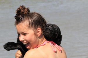 Mastiff - Juliette Spod Holi - Hillse Mastiffs