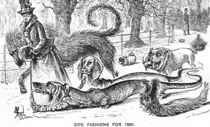 dog-fashions-1889