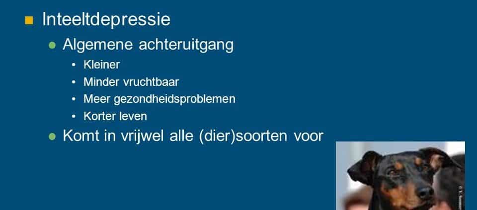 Gevolgens inteelt WUR