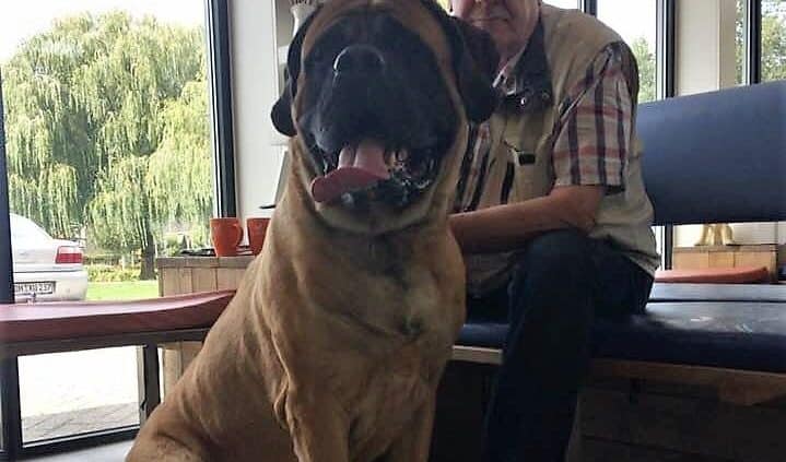 Duke 5 jaar - lymfeklierkanker