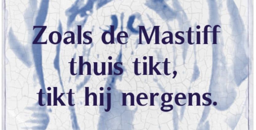 inteelt mastiff